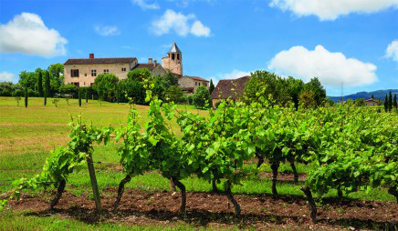 Château de Frausseilles im Gaillac Château de Frausseilles im Gaillac