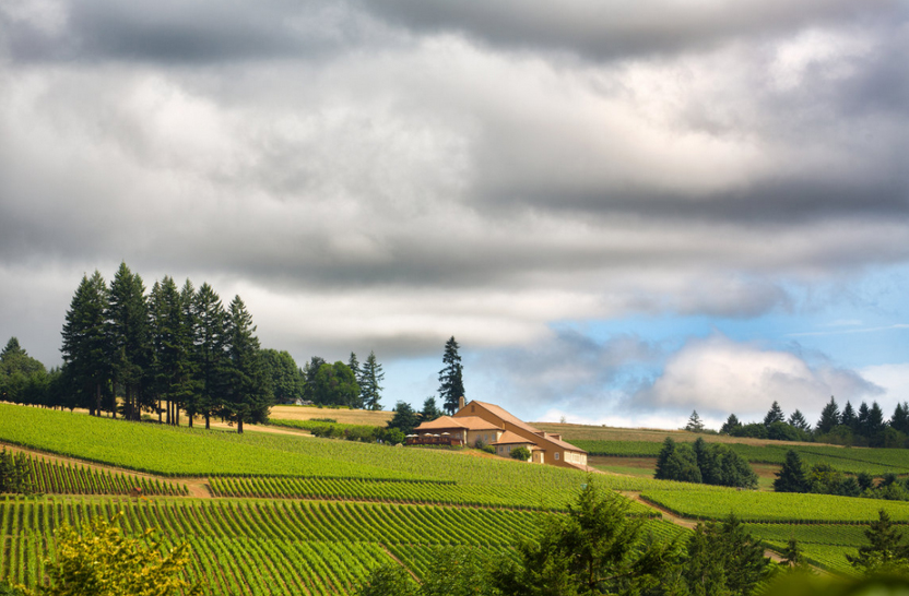 Domaine Drouhin Oregon