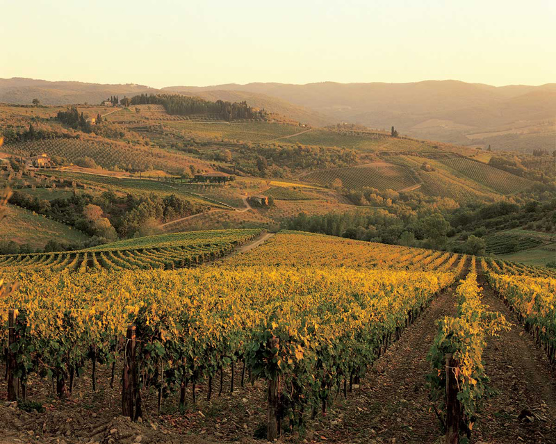 Conca d'oro - Die goldene Grube