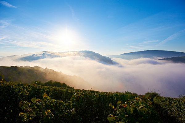 Sonnenaufgang im Paradies