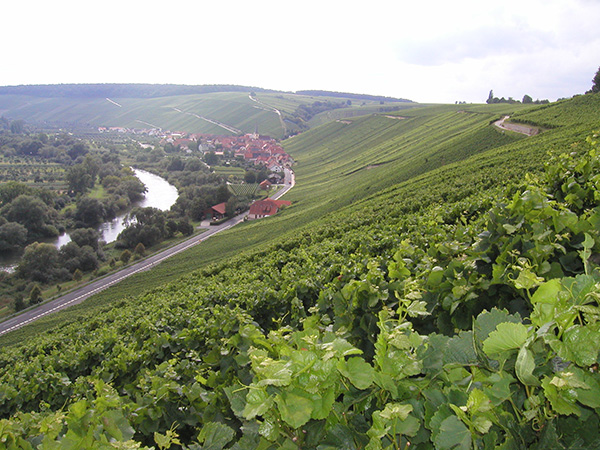Escherndorrf und die 1. Lage Lump