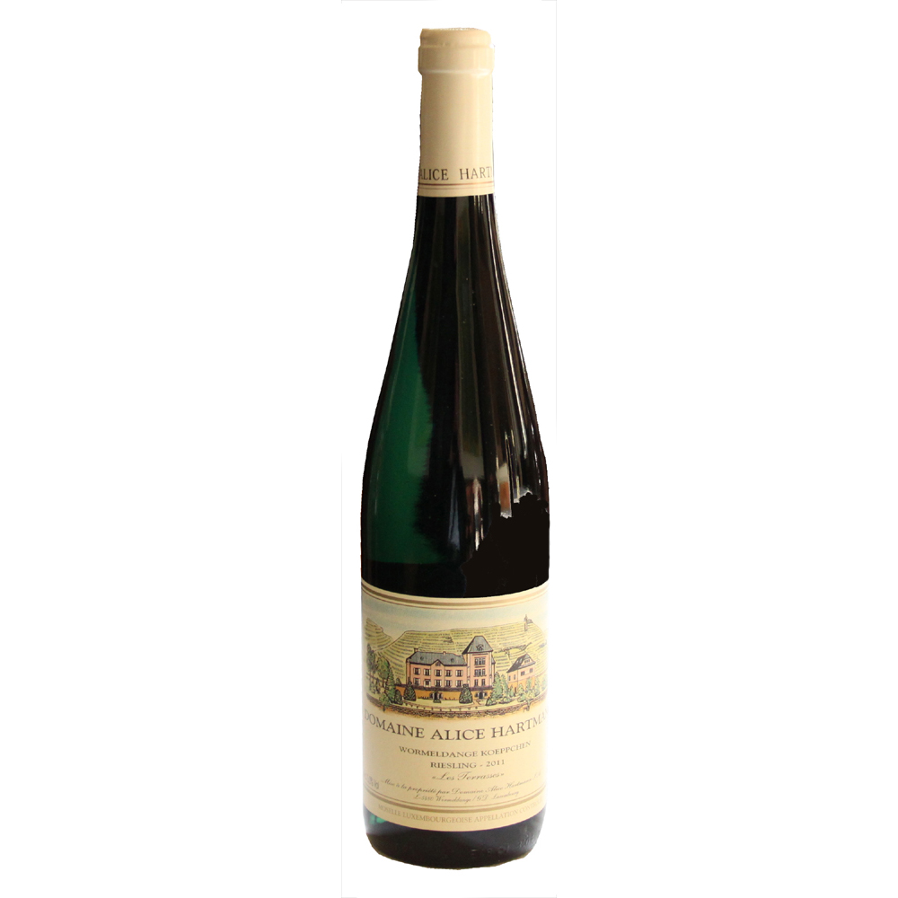 Riesling "Les Terrasses" 2025