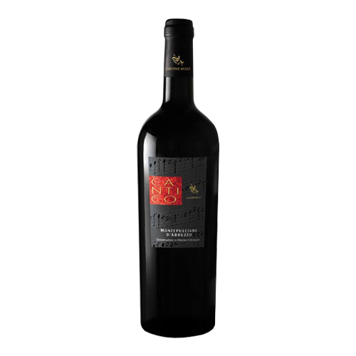 Cantico Montepulciano d'Abruzzo 2019