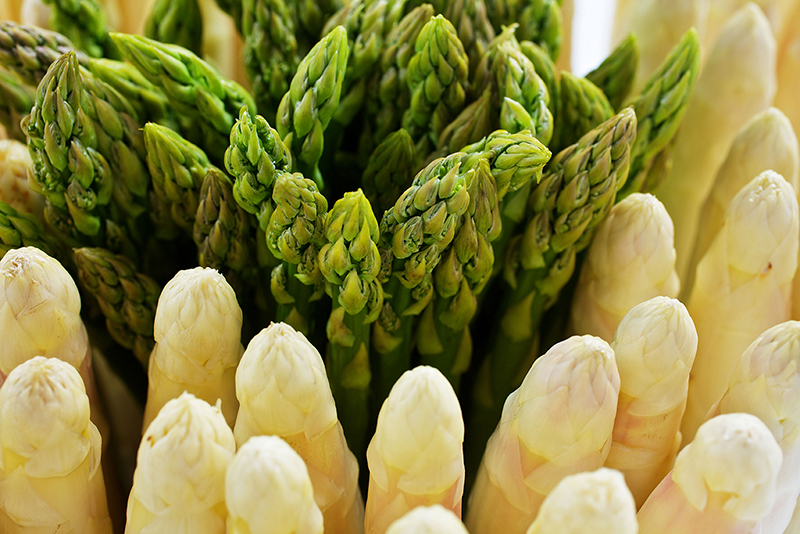 Spargelzeit: Hier sind unsere Favoriten für die optimale Weinbegleitung!