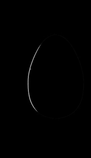 Eine Weltneuheit steht bevor – und wir sind die Ersten!