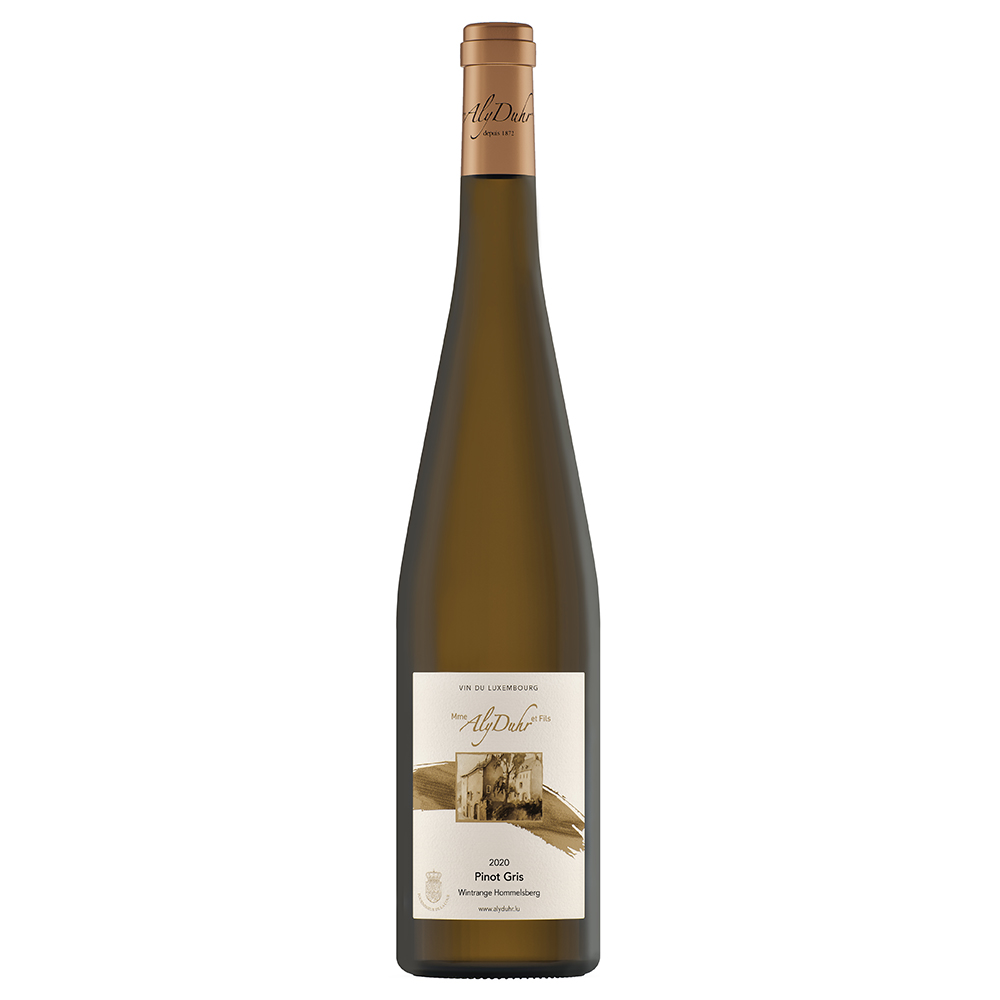 Pinot Gris Hommelsberg 2020 BIO