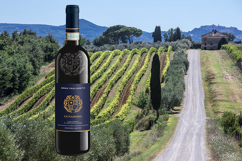 Die Krönung des Vino Nobile di Montepulciano: Gran Pagliareto von Lunadoro