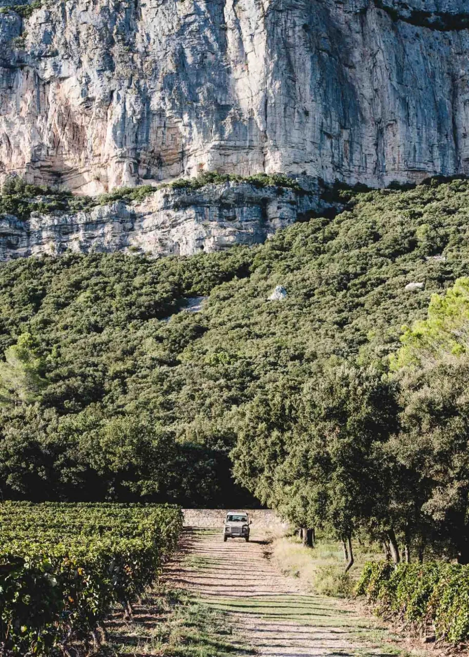 Pic Saint Loup: Der Grand Cru Okzitaniens wird im sommelier-magazin des Meininger Verlags gefeiert