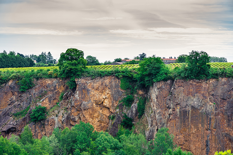 "Muscadet hat nie zuvor solch gute Weine hervorgebracht!" Hier ist der Beweis!