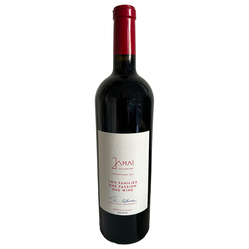 JAMAI 2015