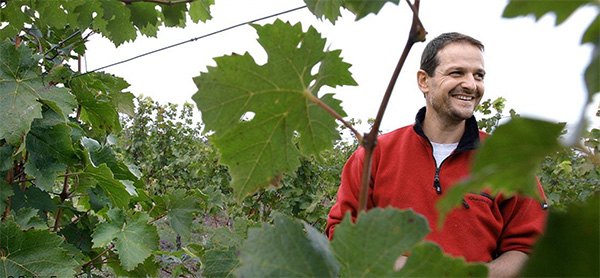 Savennières: Die mineralische Quintessenz der Chenin Blanc