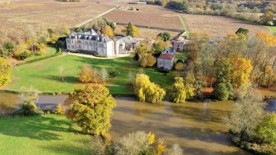 Die Weine von Chereau sind NEU im Sortimnet Muscadet auf Spitzenniveau